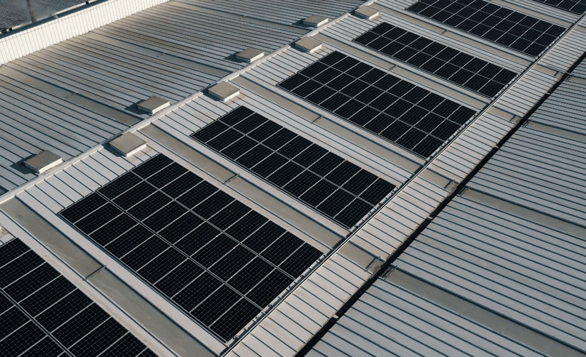 Impulsionar a Sustentabilidade